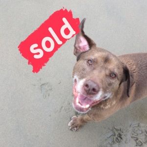 Thank you for the purchases!